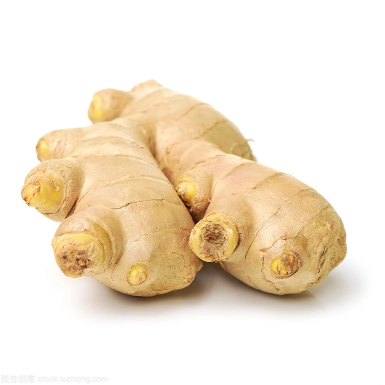 Nima uchun Premium Fresh Ginger sifatni biladigan xaridorlar uchun afzal ko'rilgan tanlovdir?