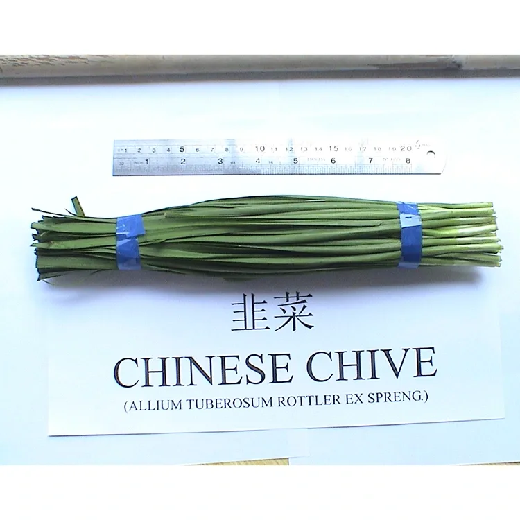 Nima uchun Farm Fresh Chinese Chives Osiyo oshxonasida keng qo'llaniladi?