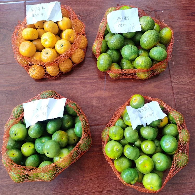 Yangi asal mandarin