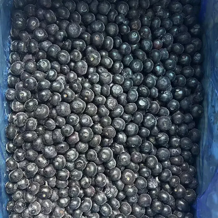 Muzlatilgan Blueberry Premium IQF Blueberry
