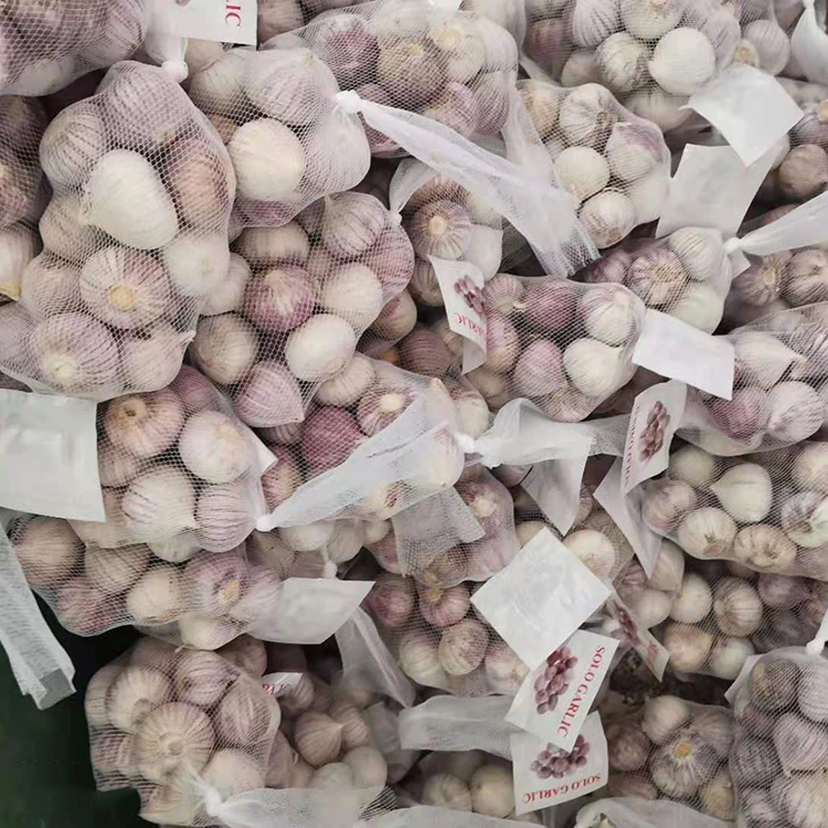 Yuqori sifatli bitta chinnigullar sarimsoq