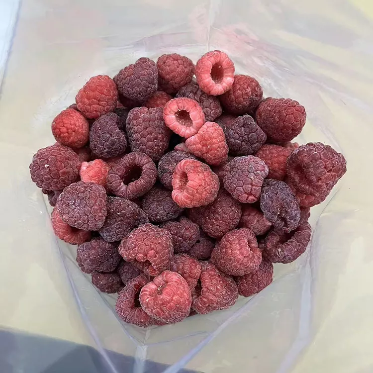 Premium IQF butun muzlatilgan qizil malina