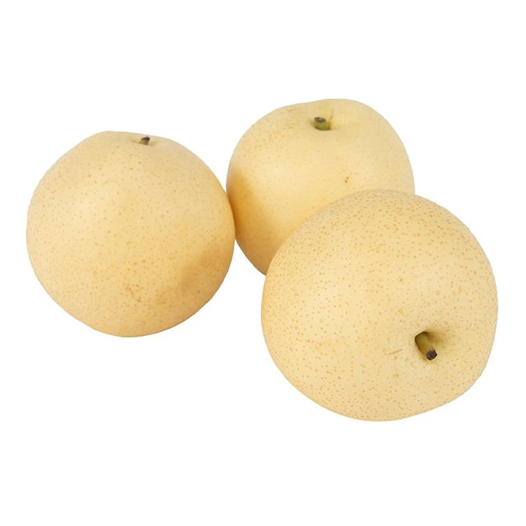 Mavsumiy toj noklari