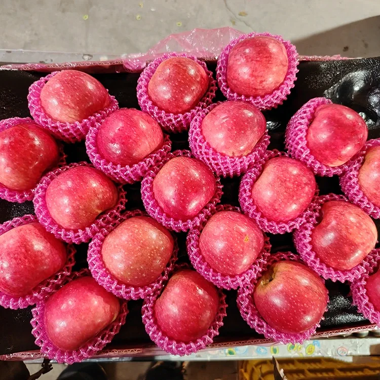Eng yaxshi yangi Jiguan olmalari